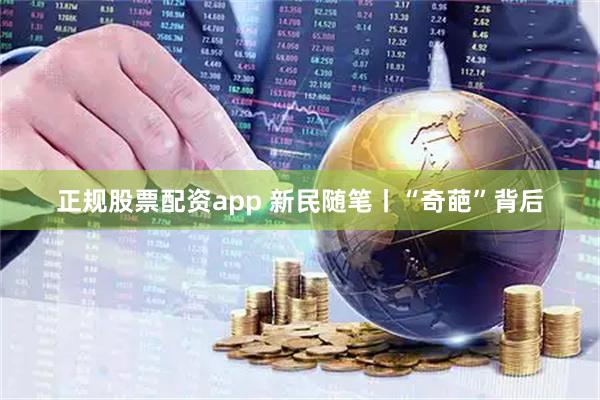 正规股票配资app 新民随笔丨“奇葩”背后